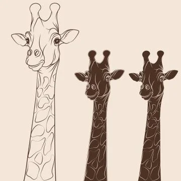 Vector illustration head of a giraffe. Isolated objects. Stock Illustration