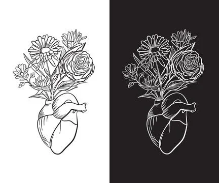 Vector illustration of a heart Stock Illustration