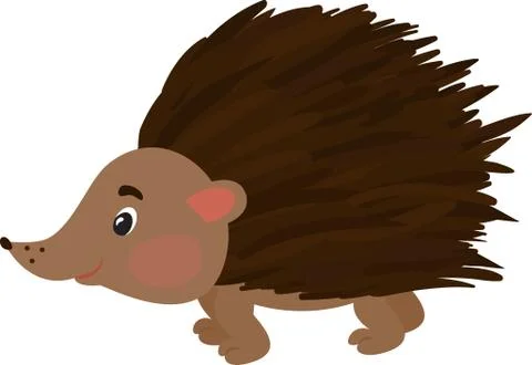 Vector illustration of hedgehog. Isolated on white. Cute cartoon character. Illustrazione stock