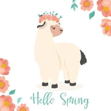 Vector Illustration. Hello spring alpaca Stock Illustration