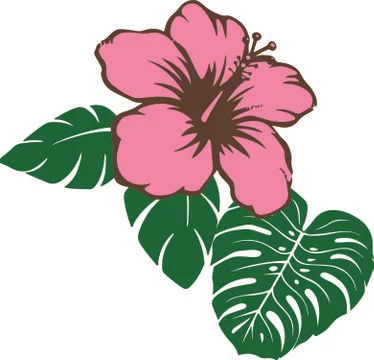 Vector illustration of hibiscus flower with leaf Stock Illustration