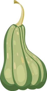 Vector illustration, high-drawn-out green pumpkin. decoration Halloween Stock Illustration