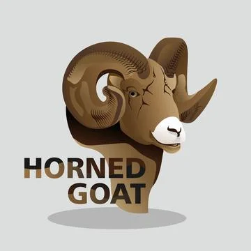 Vector illustration of a horned goat Stock Illustration