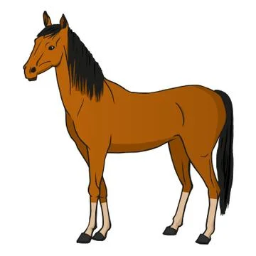 Vector illustration horse Stock Illustration