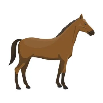 Vector illustration of a horse. Stock Illustration