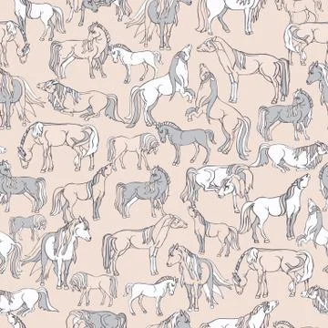 Vector Illustration with horses Illustrazione stock