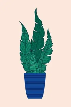 Vector illustration of a houseplant in a pot Stock Illustration