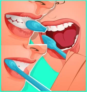 Vector illustration of how to properly brush your teeth dentist's advice Stock Illustration