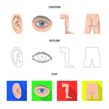 Vector illustration of human and part logo. Collection of human and woman stock Stock Illustration