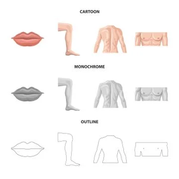 Vector illustration of human and part logo. Collection of human and woman stock Stock Illustration