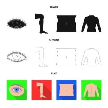 Vector illustration of human and part icon. Set of human and woman stock vector Stock Illustration
