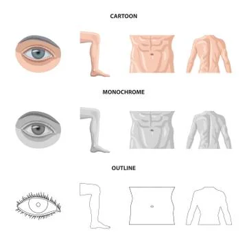 Vector illustration of human and part symbol. Collection of human and woman Stock Illustration