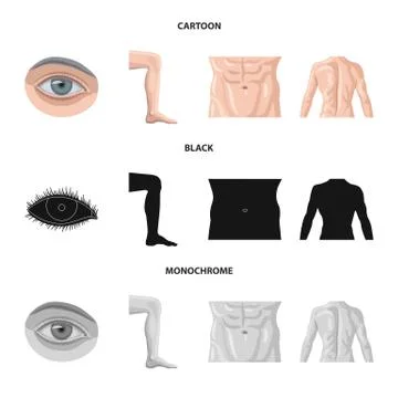 Vector illustration of human and part sign. Collection of human and woman stock Stock Illustration