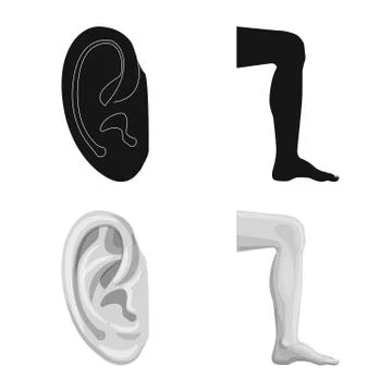 Vector illustration of human and part symbol. Set of human and woman vector icon Stock Illustration