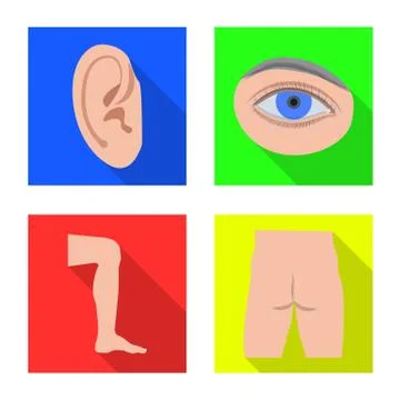 Vector illustration of human and part logo. Collection of human and woman stock Stock Illustration
