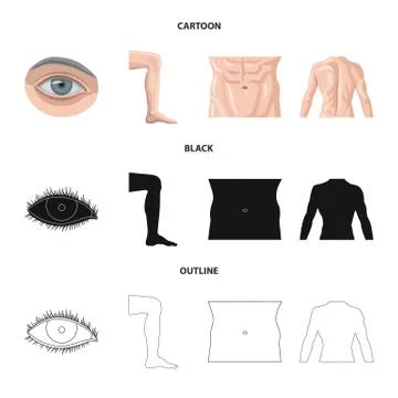Vector illustration of human and part sign. Collection of human and woman vector Stock Illustration