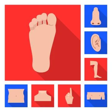 Vector illustration of human and part icon. Set of human and woman stock symbol Stock-Illustration