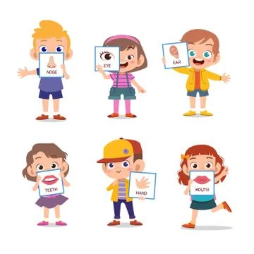 Vector Illustration Of Human Body Stock-Illustration