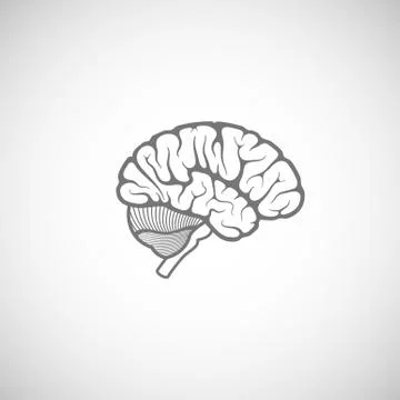 Vector illustration of human brain Stock Illustration