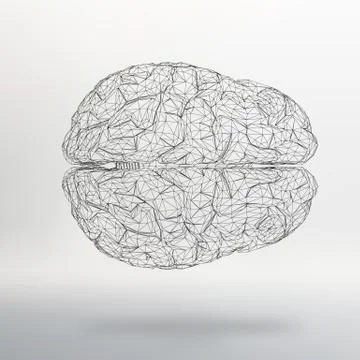 Vector illustration human brain. The structural grid of polygons. Abstract 스톡 일러스트