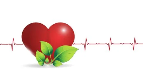 Vector illustration of a human heart on the background of a glowing heart rate Stock Illustration