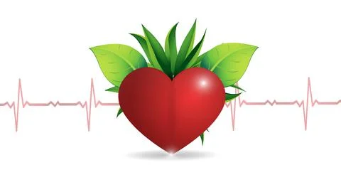 Vector illustration of a human heart on a background of leaves and heart rate Stock Illustration