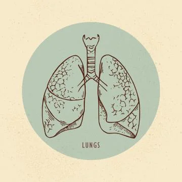 Vector illustration of human lungs drawn in retro style with background Stock Illustration
