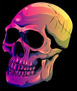 Vector illustration of human skull on black background Stock-Illustration