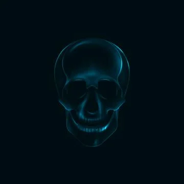 Vector illustration of a human  skull x-ray print. medical conce Stock Illustration