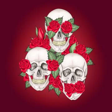 Vector illustration of human skulls with flowers roses I dont say I do not see I Stock Illustration