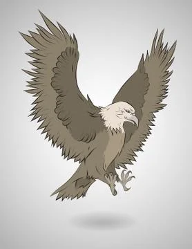 Vector illustration of hunting  eagle. Stock Illustration