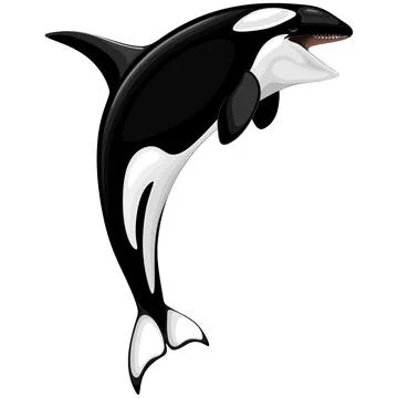 Vector illustration icon of a Killer Whale Spirit Orca Jumping  isolated on Stock Illustration