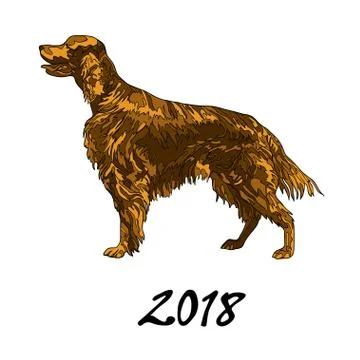 Vector illustration, the image of a dog of the breed setter. The inscription Illustrazione stock
