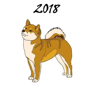 Vector illustration of an image of a dog breed of Shiba Inu. The inscription Stock Illustration