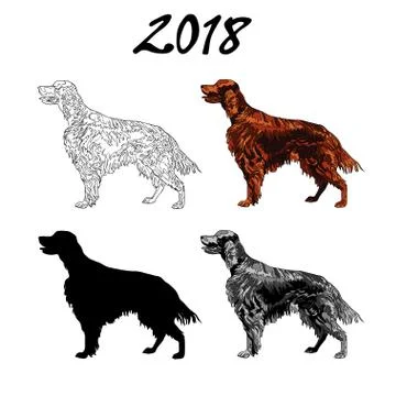 Vector illustration of an image of a dog breed of Setter. Black line, black a Stock Illustration
