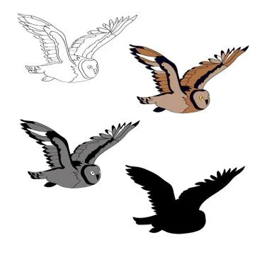 Vector illustration, an image of a flying owl. Black line, black and white an Stock Illustration