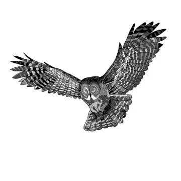Vector illustration, an image of a flying owl. Black and white and gray illus Stock Illustration