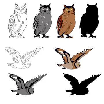 Vector illustration, an image of an owl in different angles, a sitting owl, a Stock Illustration