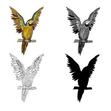 Vector illustration of an image of a parrot with raised wings. Black line, bl イラスト素材