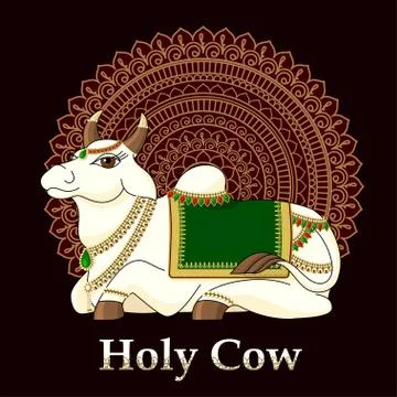 Vector illustration of Indian sacred cows.The third option. Stock Illustration