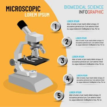 Vector illustration of infographic microscope in 3D with 5 step processes Illustrazione stock