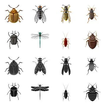 Vector illustration of insect and fly logo. Set of insect and element stock Stock Illustration