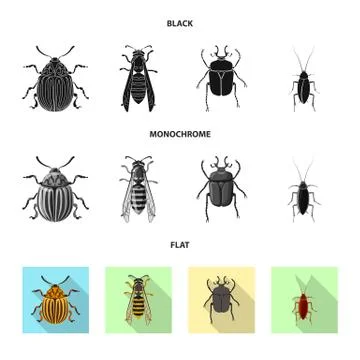 Vector illustration of insect and fly sign. Collection of insect and element Illustrazione stock