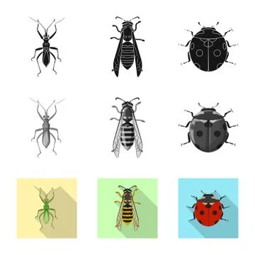 Vector illustration of insect and fly logo. Set of insect and element vector 스톡 일러스트