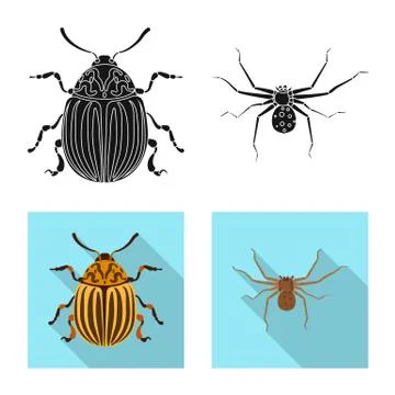 Vector illustration of insect and fly icon. Collection of insect and element Stock Illustration