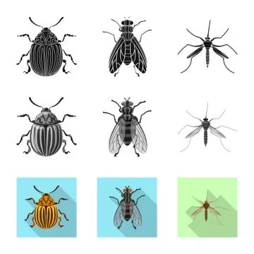 Vector illustration of insect and fly logo. Collection of insect and element Stock Illustration