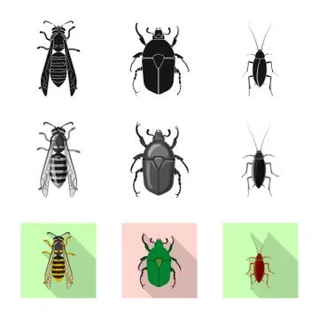 Vector illustration of insect and fly icon. Collection of insect and element Stock Illustration
