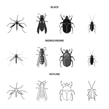 Vector illustration of insect and fly sign. Set of insect and element vector イラスト素材