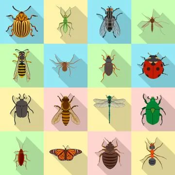 Vector illustration of insect and fly symbol. Collection of insect and element Stock Illustration