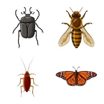 Vector illustration of insect and fly logo. Set of insect and element stock Stock Illustration